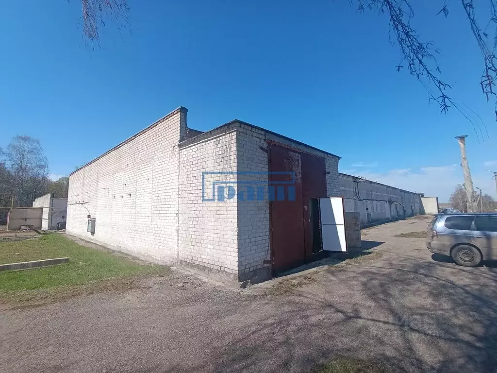 Склад в Курская область, Курский район, Камышинский сельсовет, д. ... - Фото 1