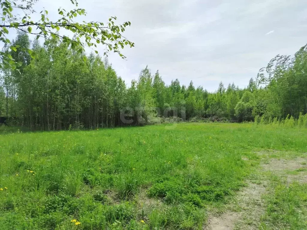 Участок в Вологодская область, Череповецкий район, Ирдоматское с/пос, ... - Фото 1