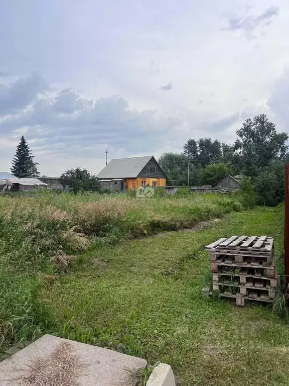 Участок в Новосибирская область, Новосибирский район, с. Толмачево ... - Фото 0