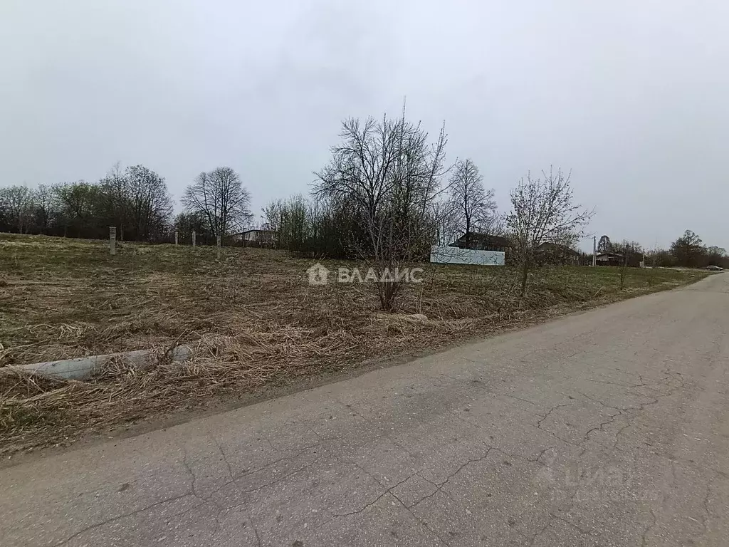 Участок в Владимирская область, Ковровский муниципальный округ, с. ... - Фото 1