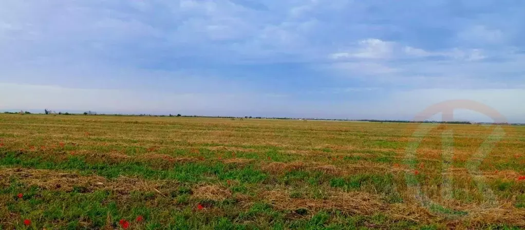 Участок в Крым, Сакский район, с. Суворовское  (272.0 сот.) - Фото 1