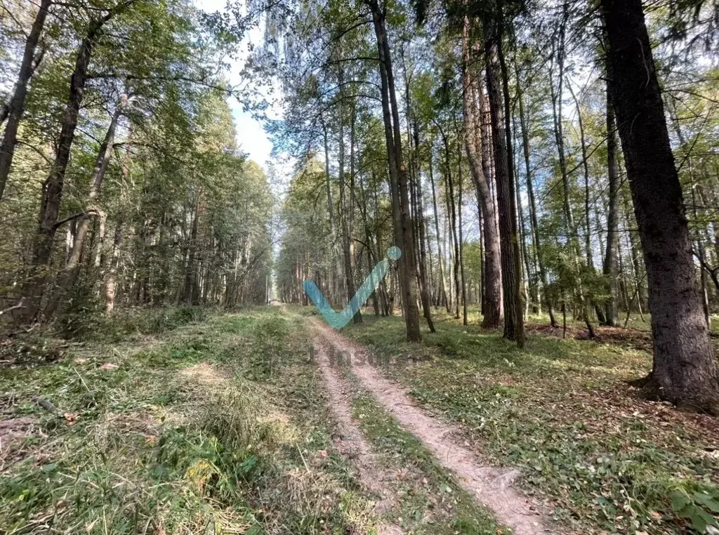 Участок в Московская область, Чехов городской округ, д. Прохорово  ... - Фото 1