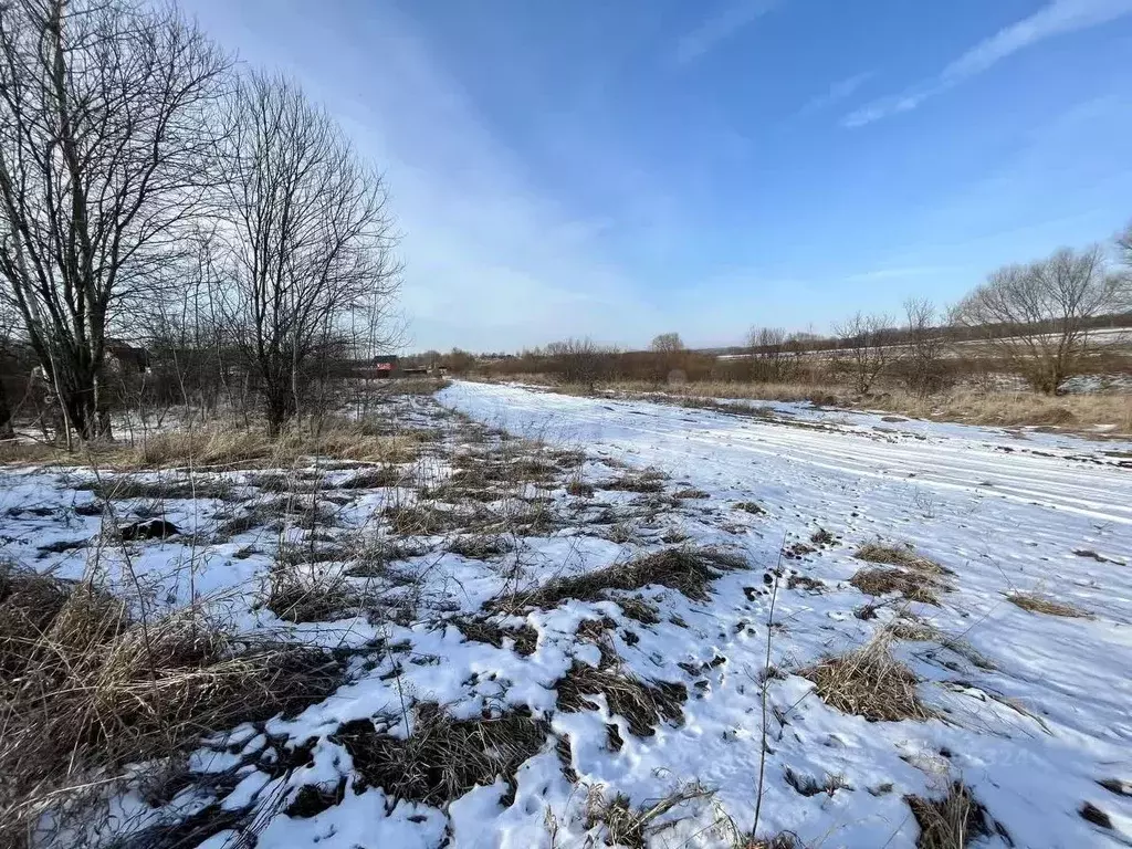 Участок в Тульская область, Веневский муниципальный округ, с. Гати  ... - Фото 1
