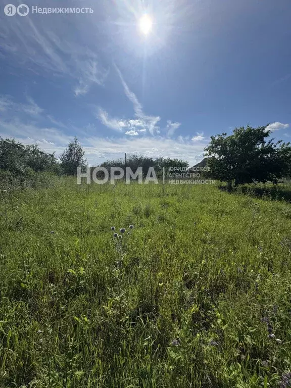 Участок в Октябрьский, СТ Акташ, 106 (4.88 м) - Фото 1