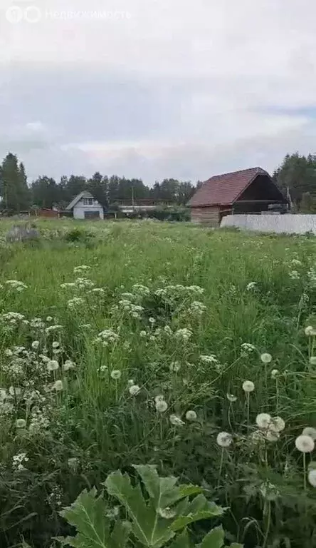 Участок в деревня Мисирёво, Тополиная улица, 53 (20.5 м) - Фото 1