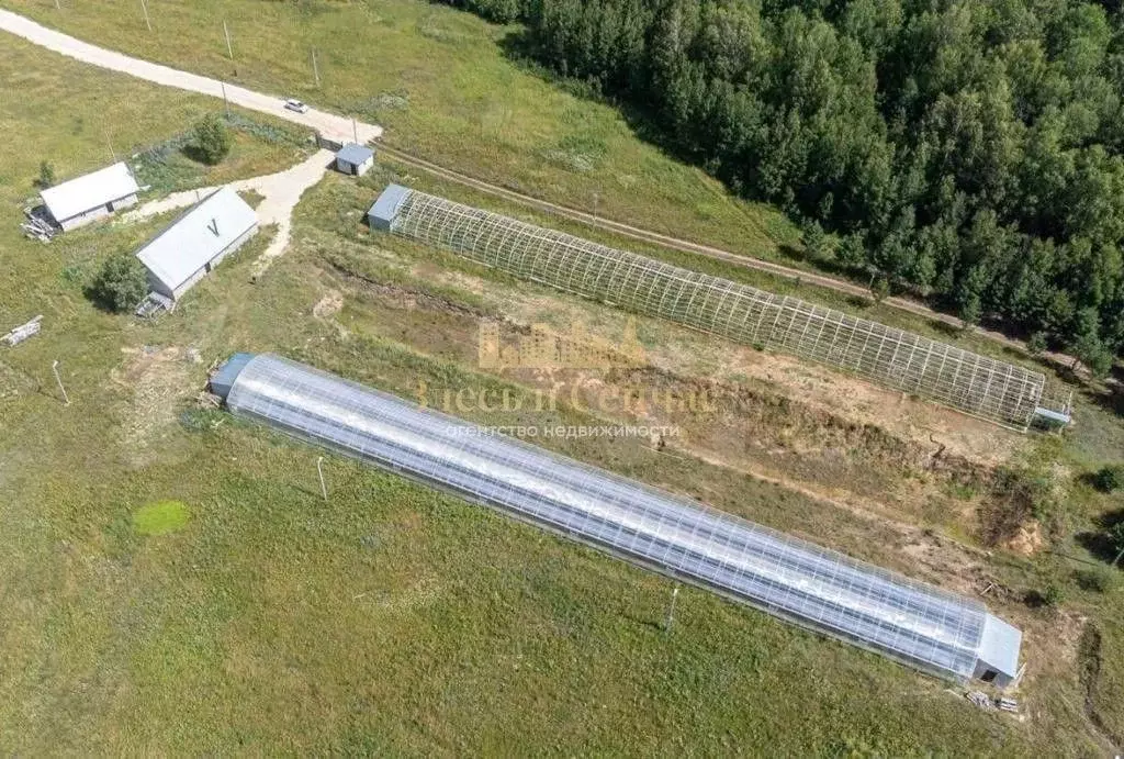 Производственное помещение в Татарстан, Лаишевский район, Егорьевское ... - Фото 2