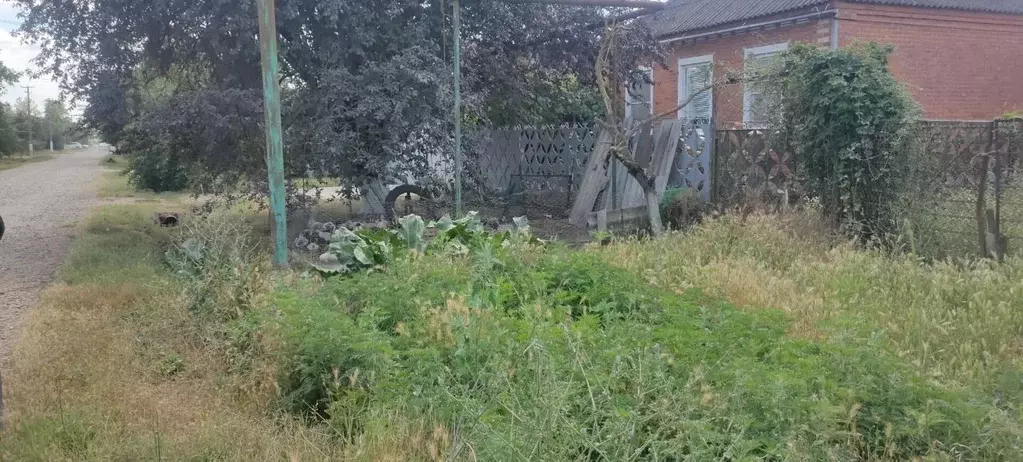 Участок в Краснодарский край, Северский район, Львовское с/пос, с. ... - Фото 1