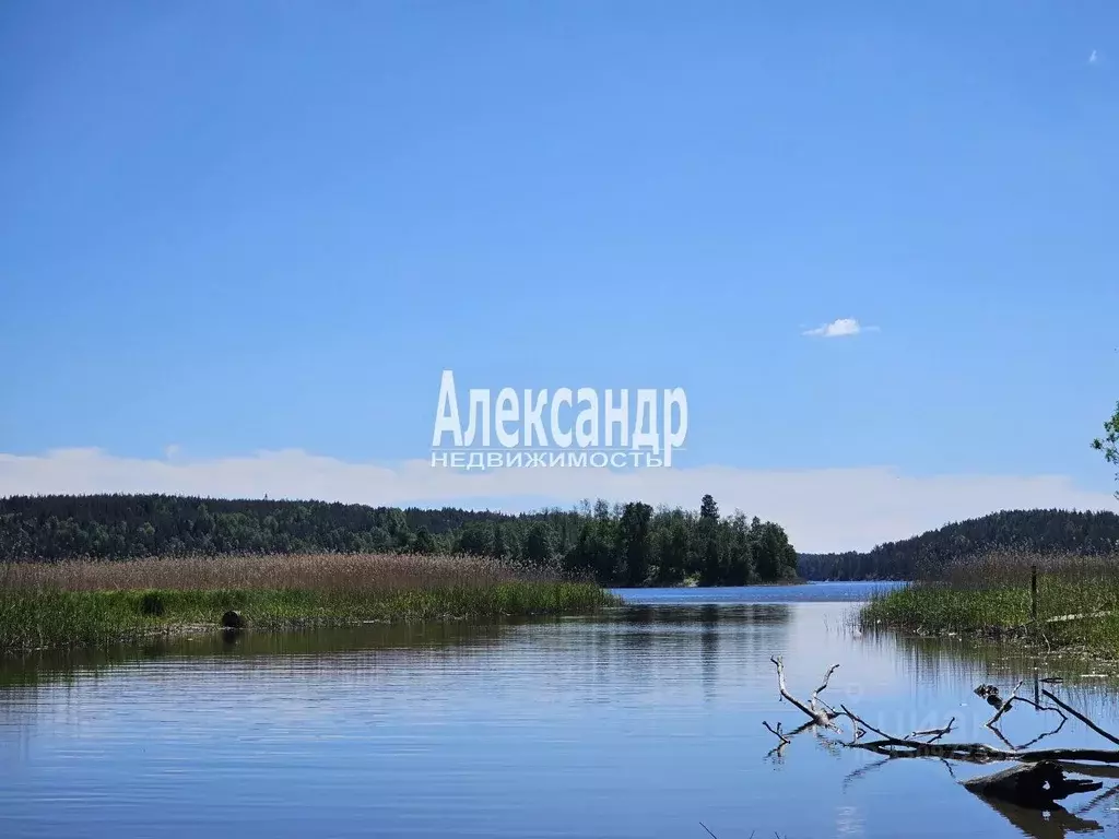 Дом в Карелия, Лахденпохский муниципальный округ, Мийнальское с/пос  ... - Фото 2