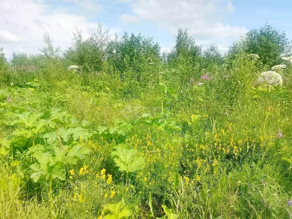 Участок в Республика Коми, муниципальный район Сыктывдинский, село ... - Фото 1