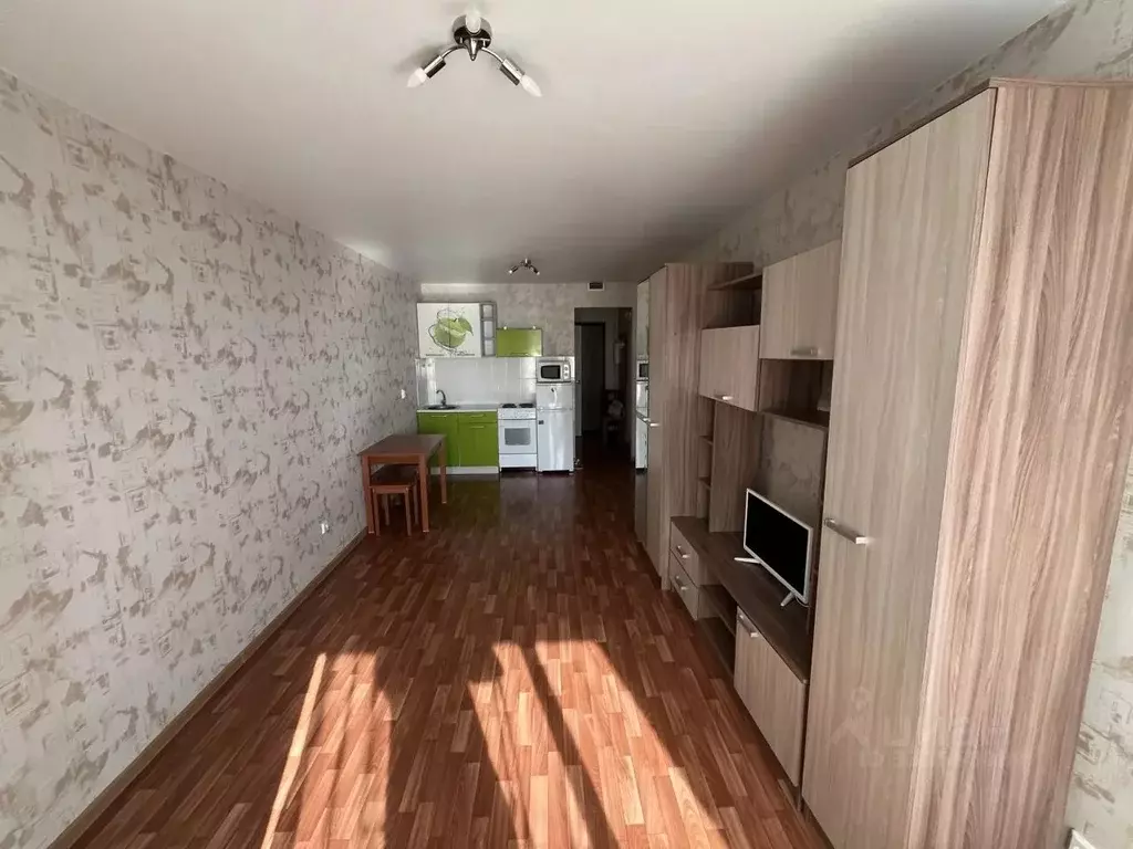 Студия Санкт-Петербург пос. Парголово, Заречная ул., 11к4 (25.9 м) - Фото 2