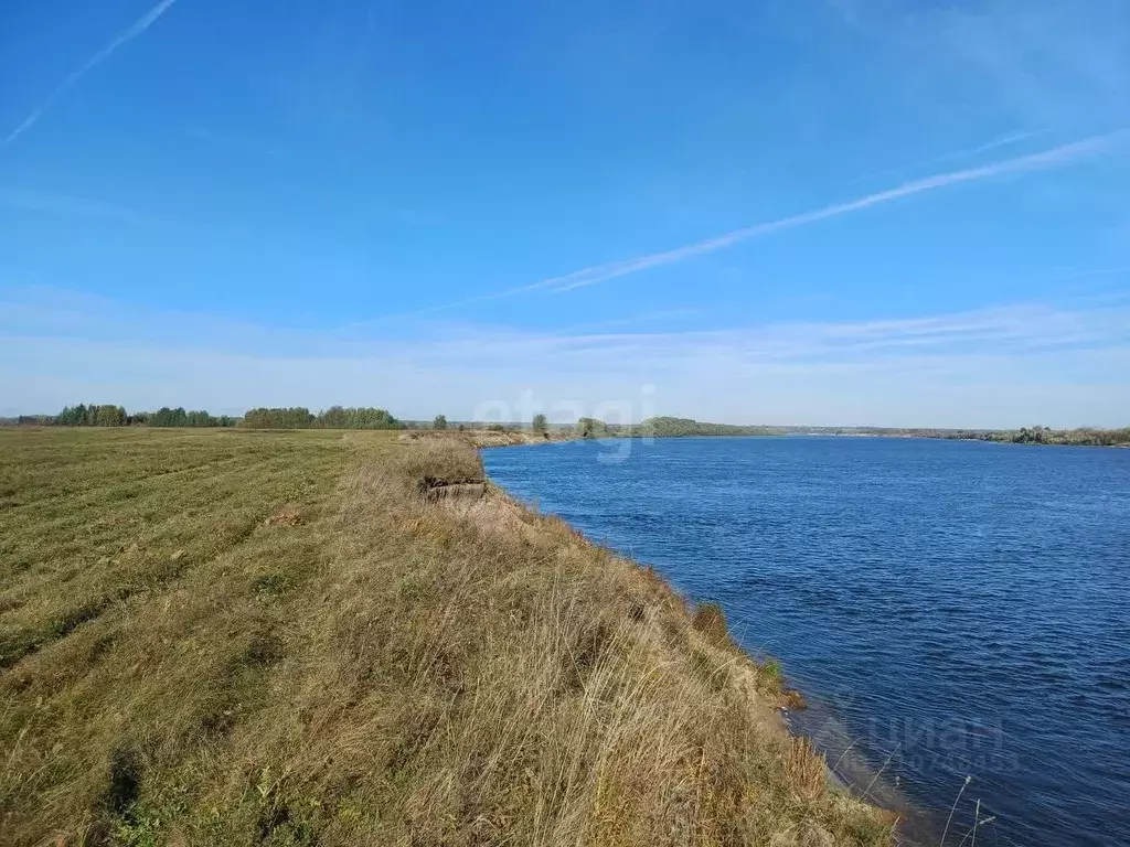 Участок в Нижегородская область, Выкса городской округ, Шиморское рп  ... - Фото 0