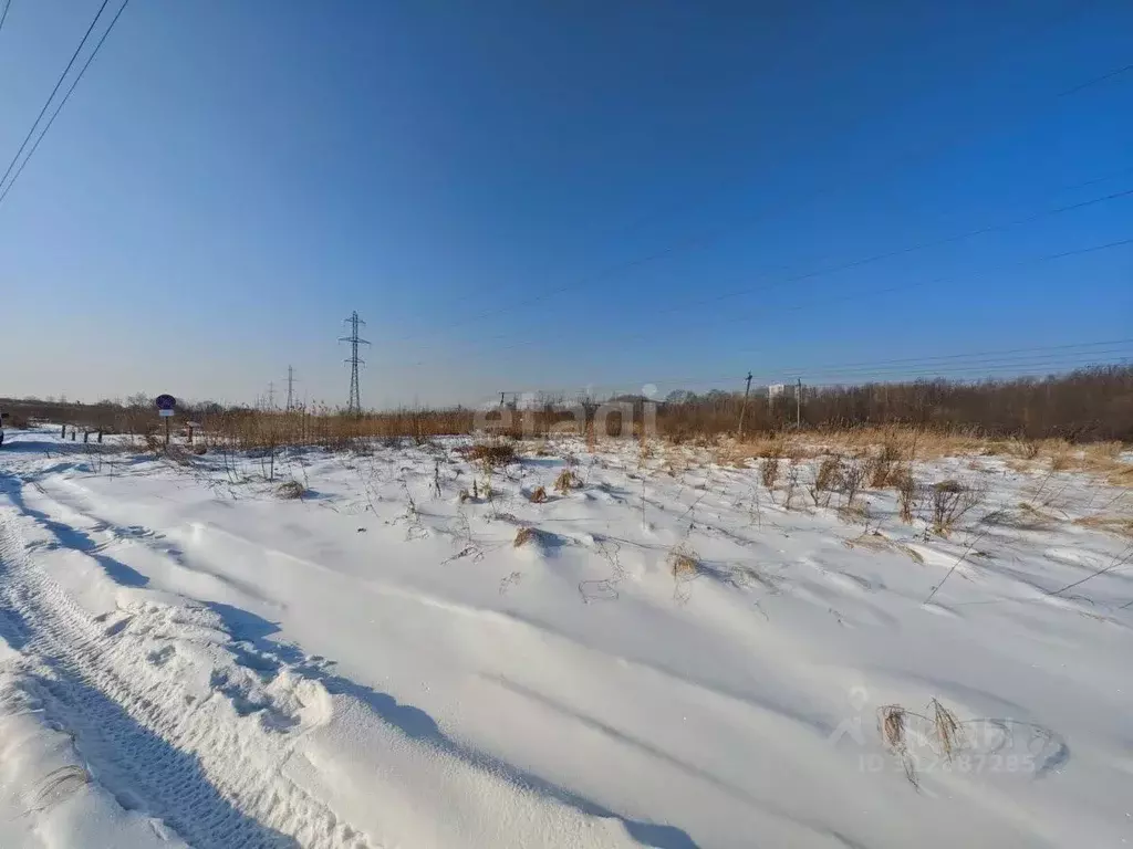 Участок в Хабаровский край, Хабаровск Рельефная ул. (10.1 сот.) - Фото 1