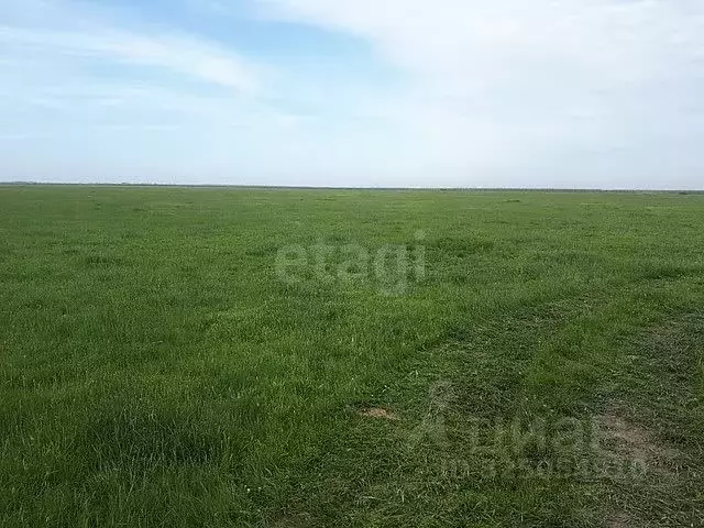 Участок в Мордовия, Ромодановский район, с. Пятина Советская ул. (20.0 ... - Фото 1