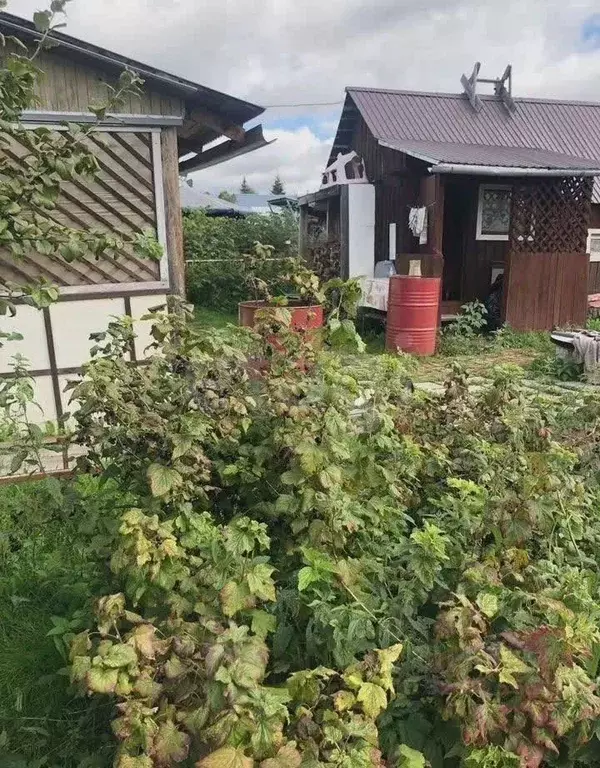 Дом в Кировская область, Юрьянский муниципальный район, Загарское ... - Фото 1