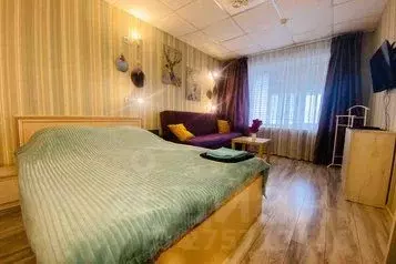 1-к кв. Вологодская область, Череповец Пионерская ул., 23Б (28.0 м) - Фото 0
