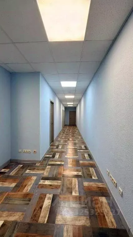 Офис в Новосибирская область, Новосибирск ул. Богдана Хмельницкого, ... - Фото 1