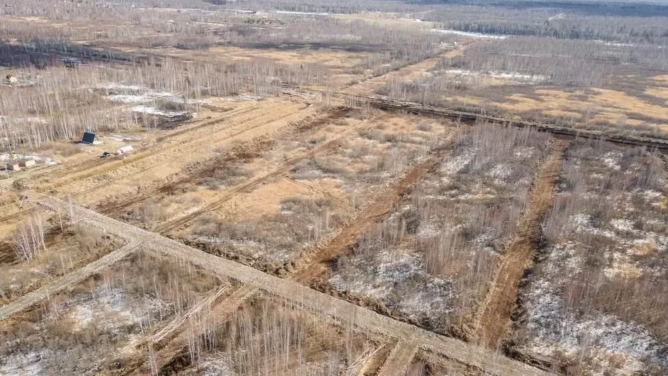 Участок 6 сот. (ИЖС) - Фото 1