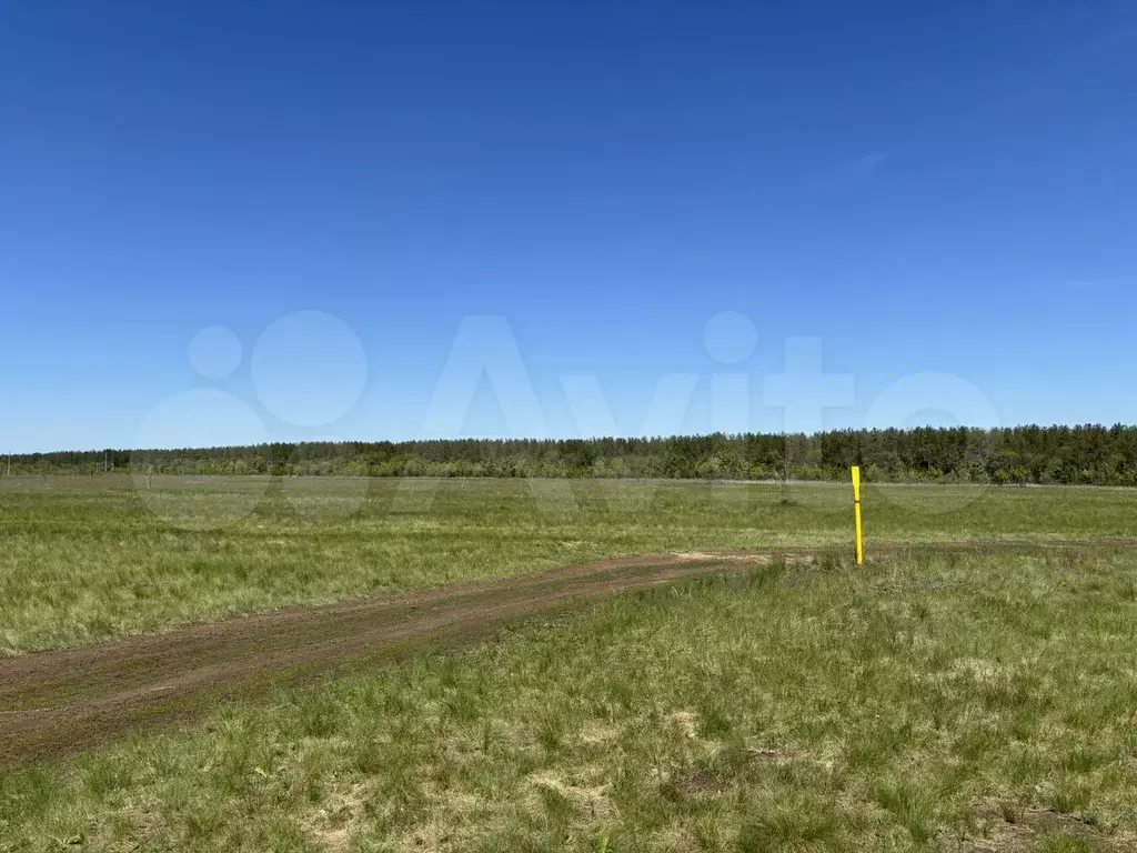 Участок 7,5 сот. (ИЖС) - Фото 1