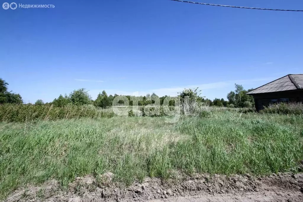 Участок в Вагайский район, деревня Журавлёва (9.49 м) - Фото 1