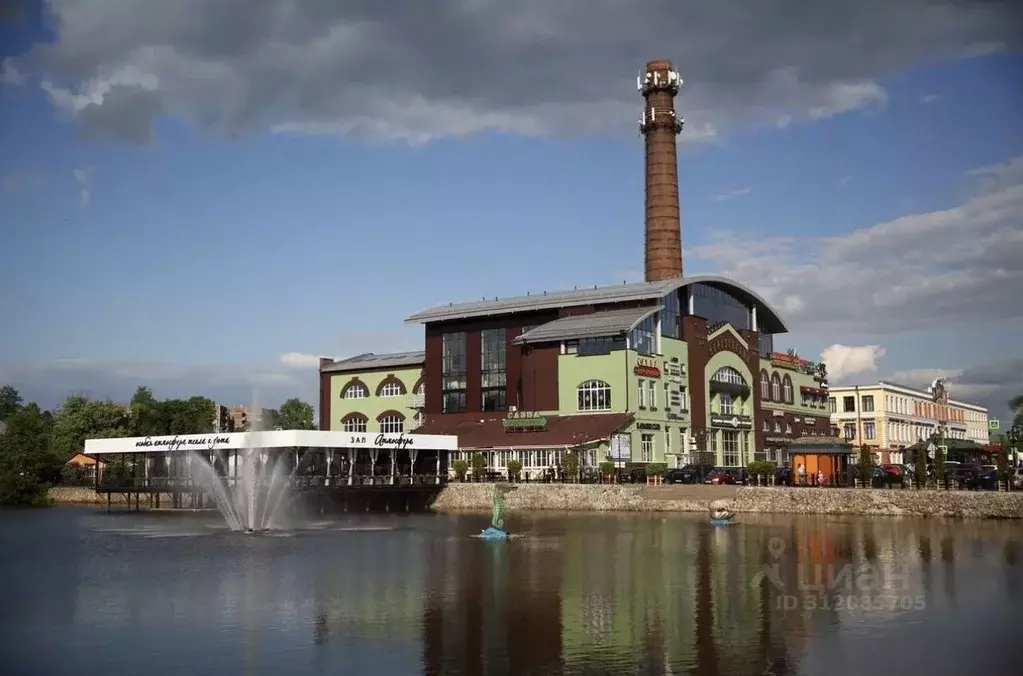 Торговая площадь в Московская область, Ногинск Богородский городской ... - Фото 0