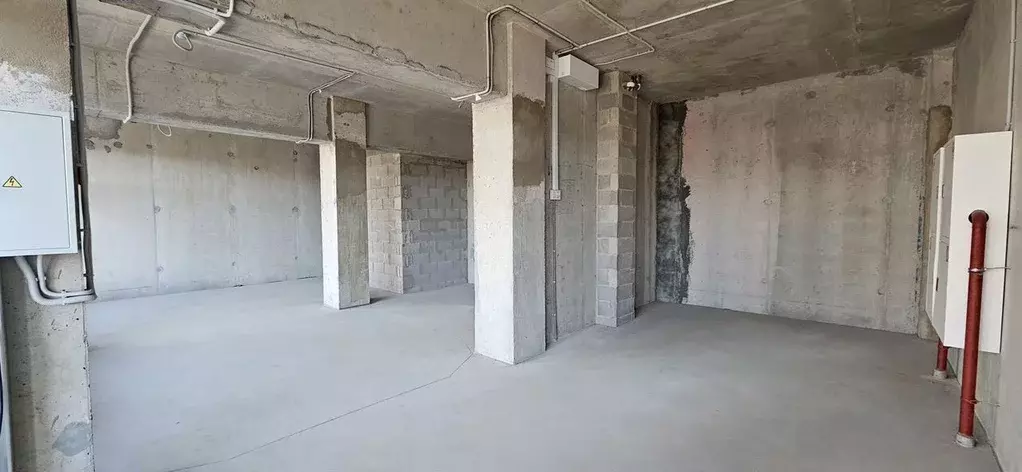 Помещение свободного назначения в Санкт-Петербург просп. ... - Фото 2