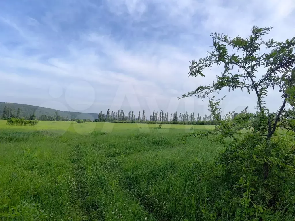 Участок 6,6 сот. (ИЖС) - Фото 0