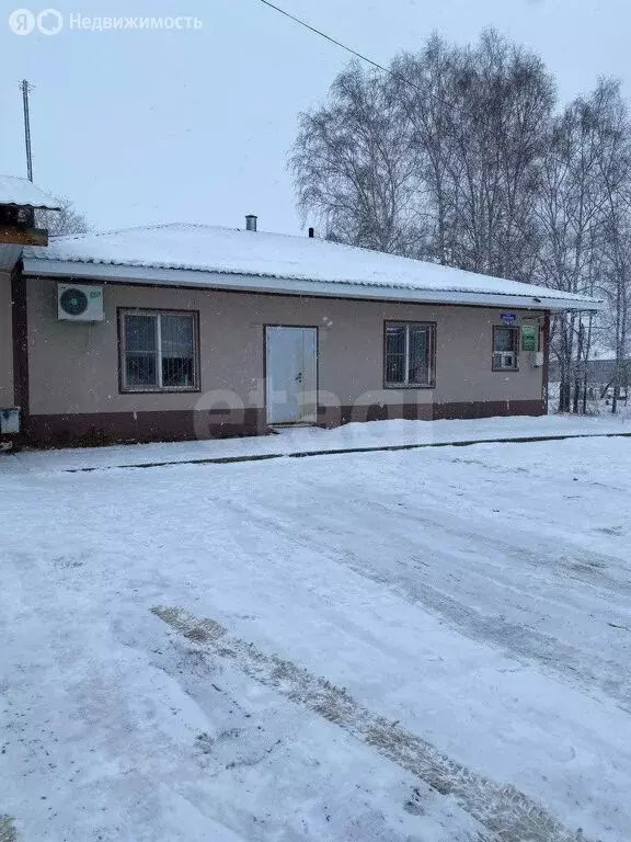 Торговая площадь (156.8 м) - Фото 2