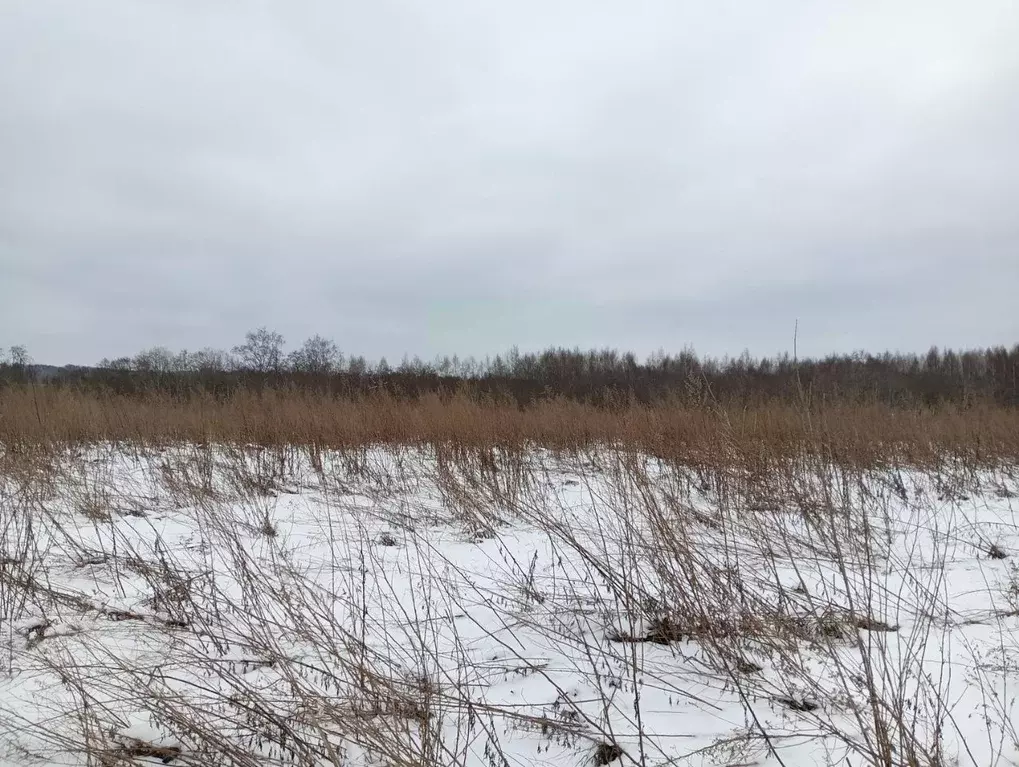 Участок в Московская область, Клин городской округ, д. Теренино  ... - Фото 0