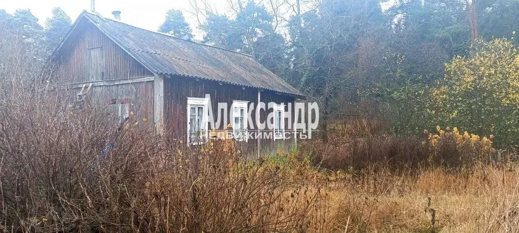 Дом в Ленинградская область, Приозерский район, Севастьяновское с/пос, ... - Фото 1