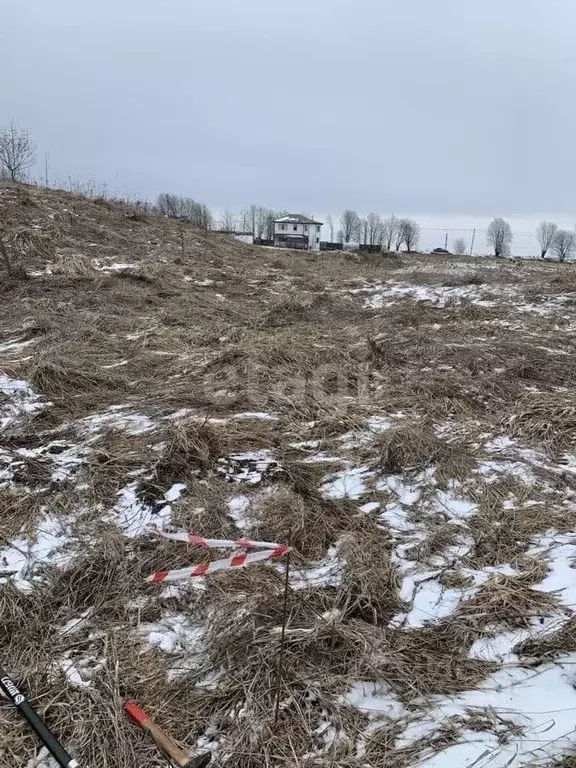 Участок в Ленинградская область, Ломоносовский район, Лопухинское ... - Фото 0