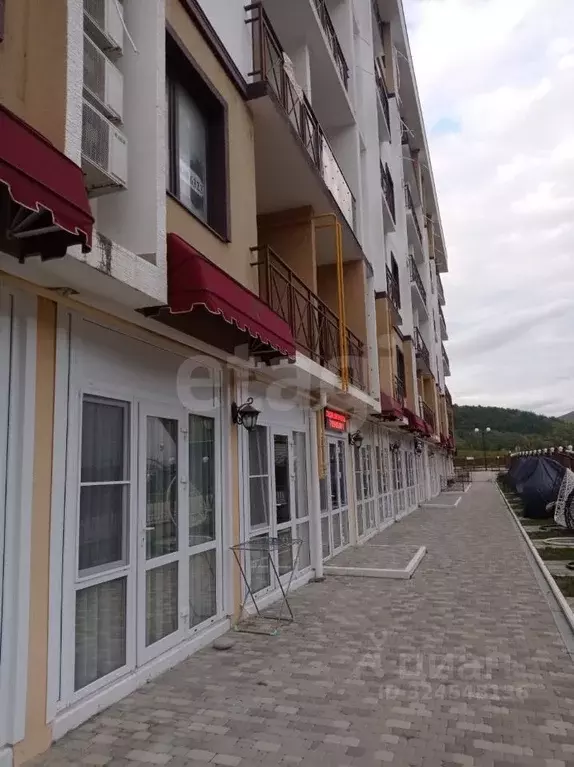 Студия Краснодарский край, Геленджик городской округ, с. Прасковеевка ... - Фото 2