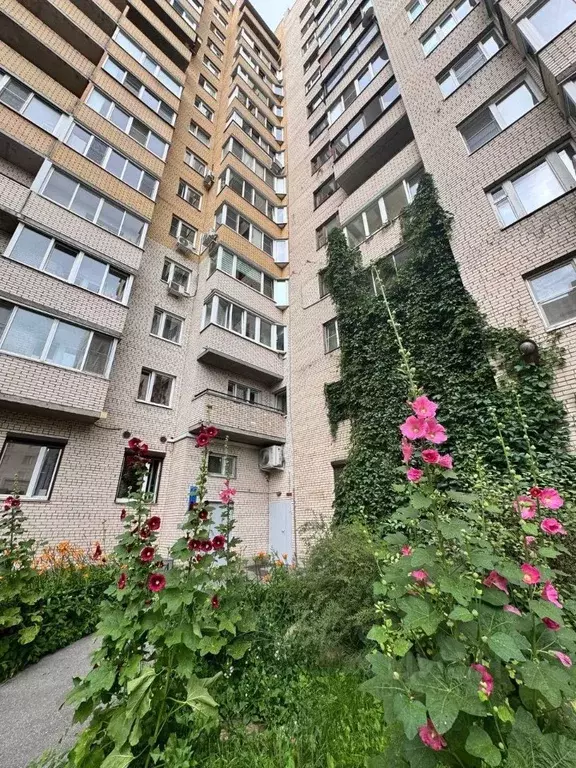 2-к кв. Санкт-Петербург ул. Типанова, 38 (63.0 м) - Фото 2