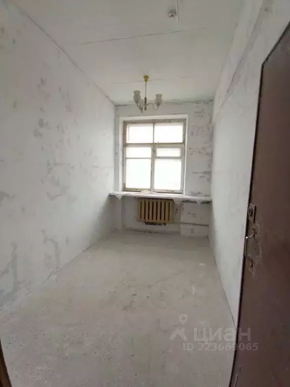 Помещение свободного назначения в Брянская область, Брянский район, ... - Фото 1