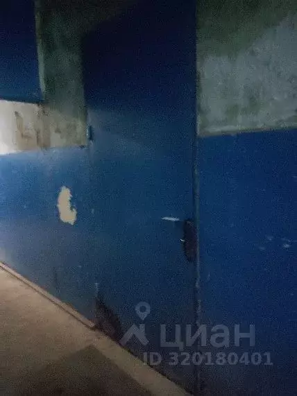 Помещение свободного назначения в Нижегородская область, Заволжье г. ... - Фото 0