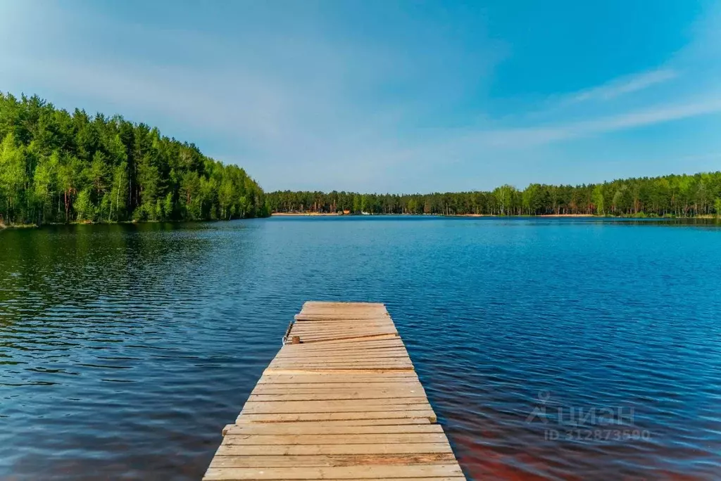 Участок в Ленинградская область, Всеволожский район, Колтушское ... - Фото 1