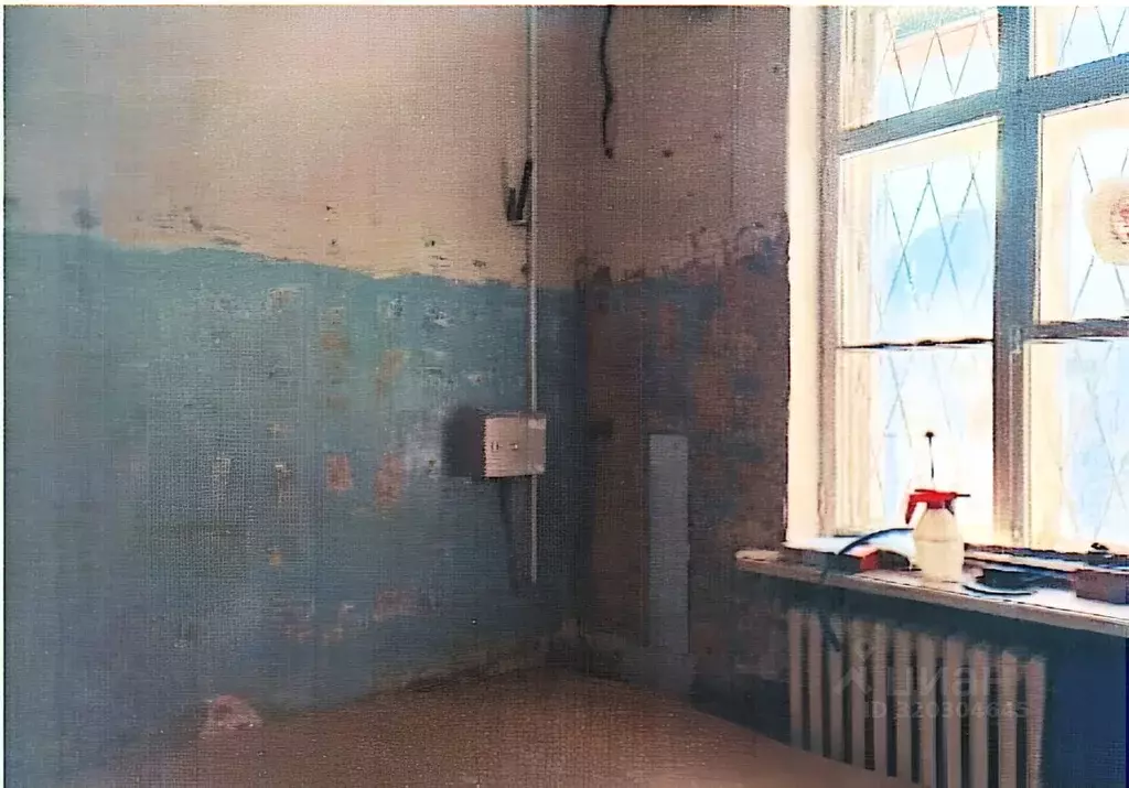 Помещение свободного назначения в Челябинская область, Трехгорный с. ... - Фото 0