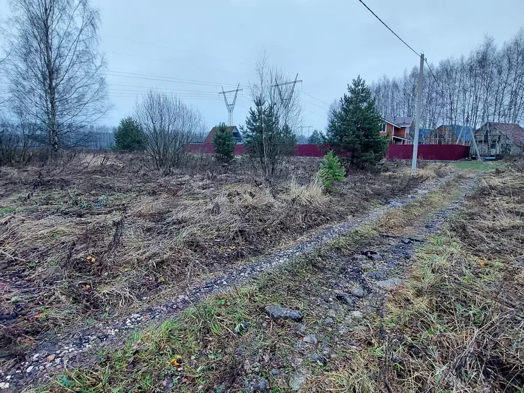 Участок в Московская область, Богородский городской округ, Зорька СНТ ... - Фото 2