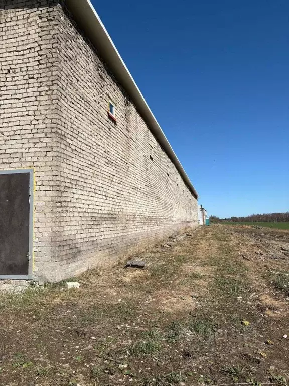 Помещение свободного назначения в Московская область, Волоколамский ... - Фото 2