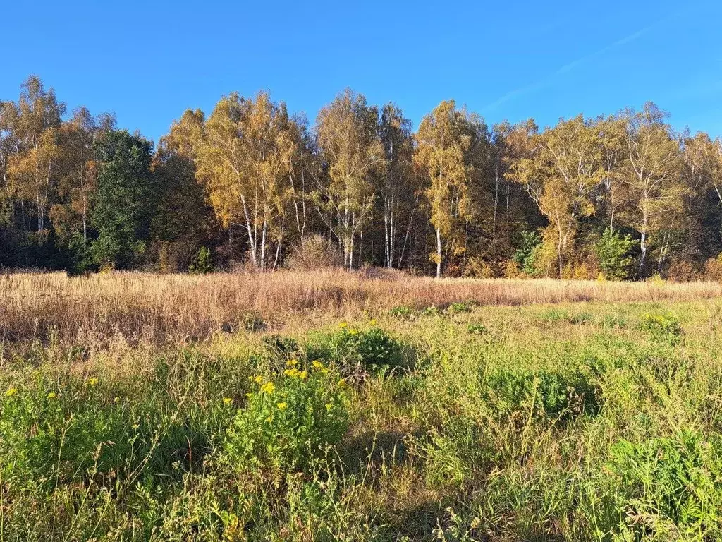 Участок в Московская область, Кашира городской округ, д. Никулино  ... - Фото 0