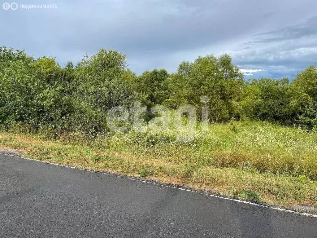 Участок в Ближнее Чесночное, Подгорная улица (30 м) - Фото 2