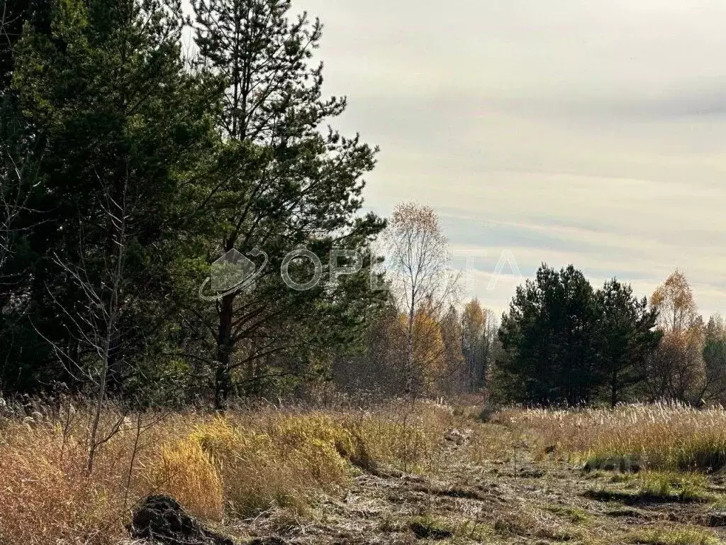 Участок в Тюменская область, Нижнетавдинский район, с. Тюнево  (10.0 ... - Фото 0