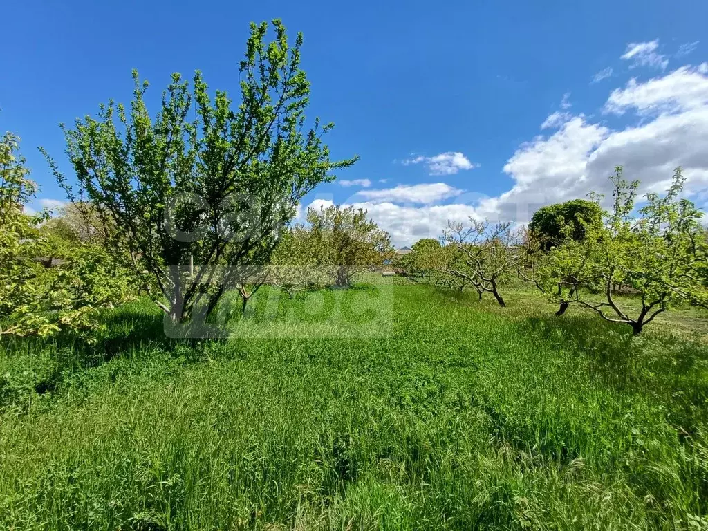 Участок в Крым, Симферопольский район, Трудовское с/пос, с. Ивановка  ... - Фото 2