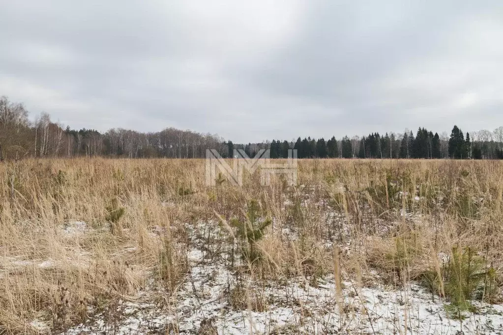 Участок, 1552 сот., сельхоз (снт или днп) - Фото 1