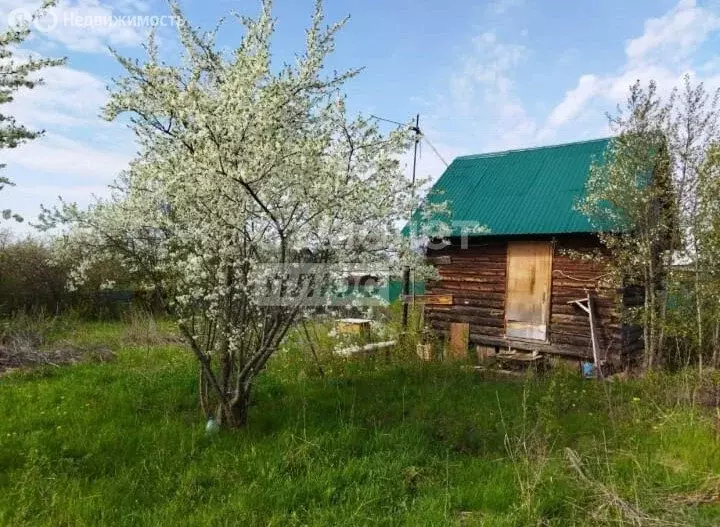 Участок в Красноярский сельсовет, СНТ Бачурино (12 м) - Фото 1