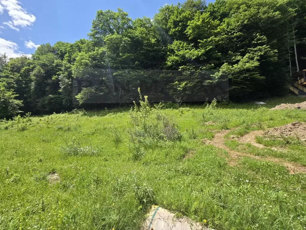 Участок в Адыгея, Майкопский район, Даховское с/пос, пос. Гузерипль  ... - Фото 1