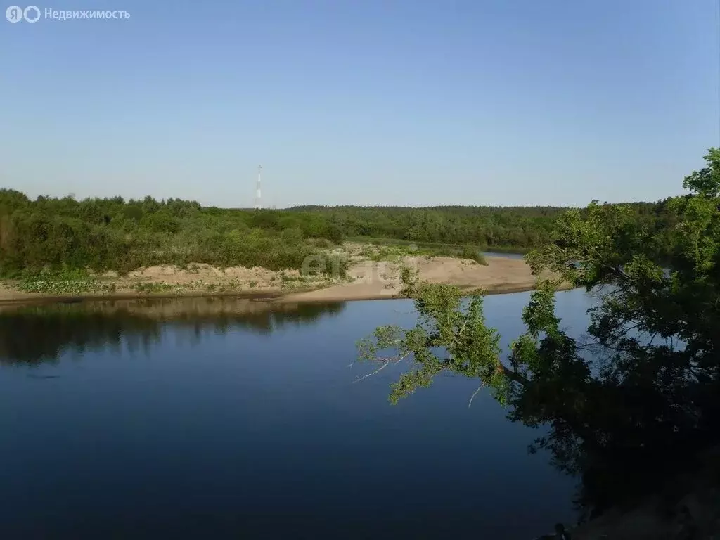 Участок в Кочкуровский район, село Сабаево (530 м) - Фото 1