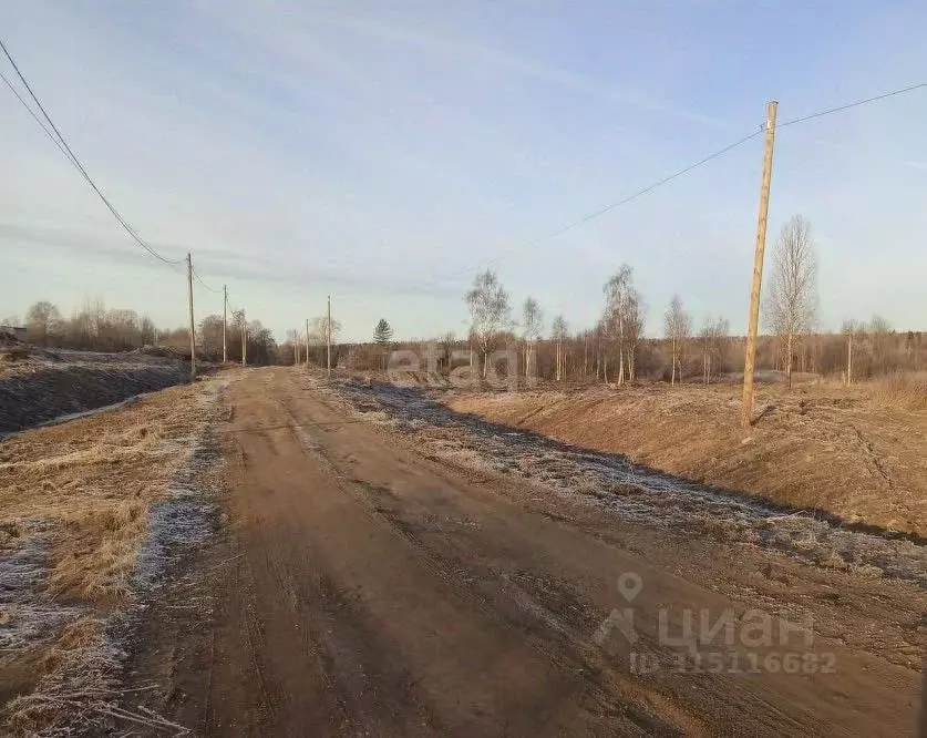 Участок в Карелия, Олонецкий район, д. Коткозеро Олонецкая ул. (539.4 ... - Фото 1