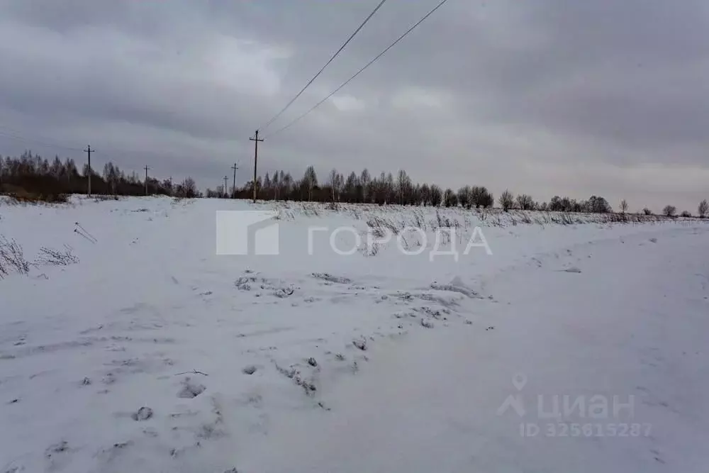Участок в Кемеровская область, Новокузнецкий муниципальный округ, с. ... - Фото 2
