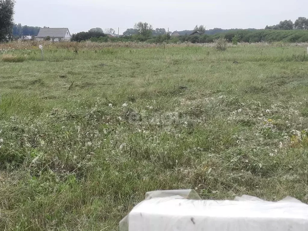 Песок Новая Усмань Купить