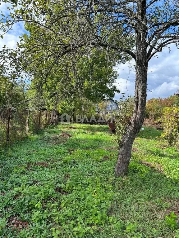 Дом в Воронежская область, Воронеж Лесовод-2 СНТ, ул. ... - Фото 2